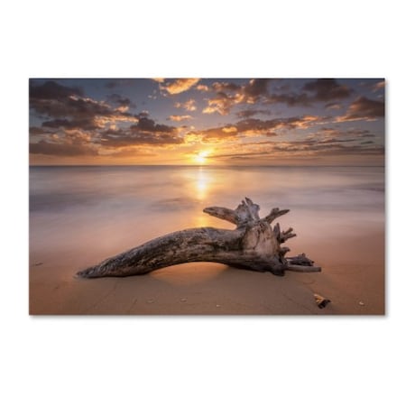 Pierre Leclerc 'Beach Tree Sunrise' Canvas Art,12x19